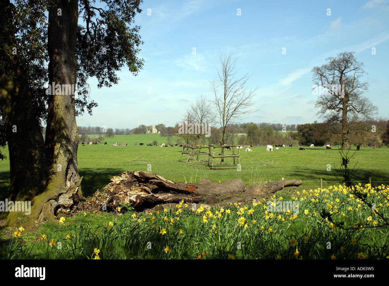 Cambridgeshire countryside spring hi-res stock photography and images ...