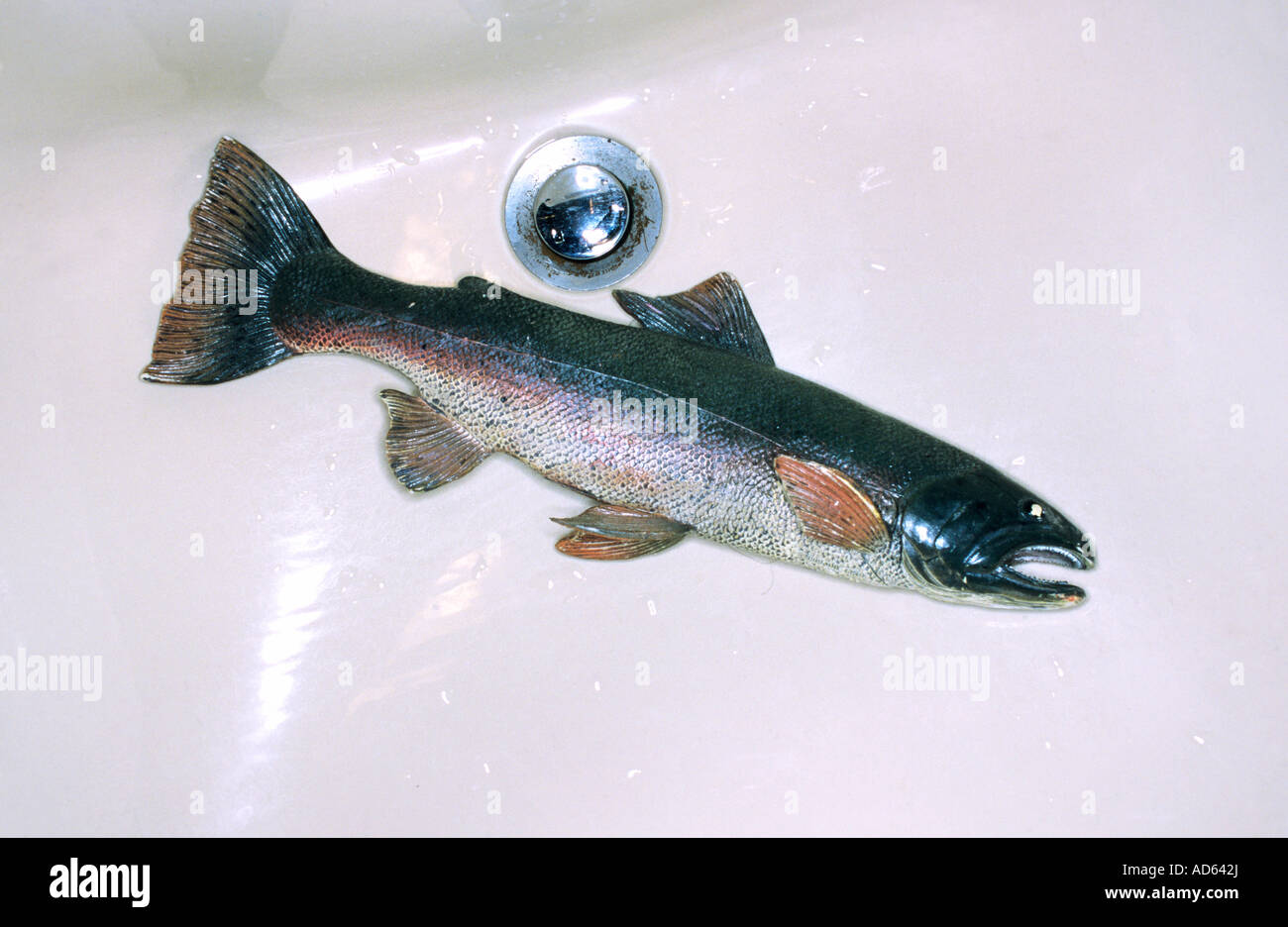 Fake (rubber) fish in sink Stock Photo Alamy