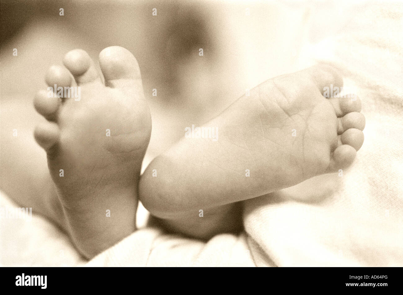 Close-up of infant's feet Stock Photo