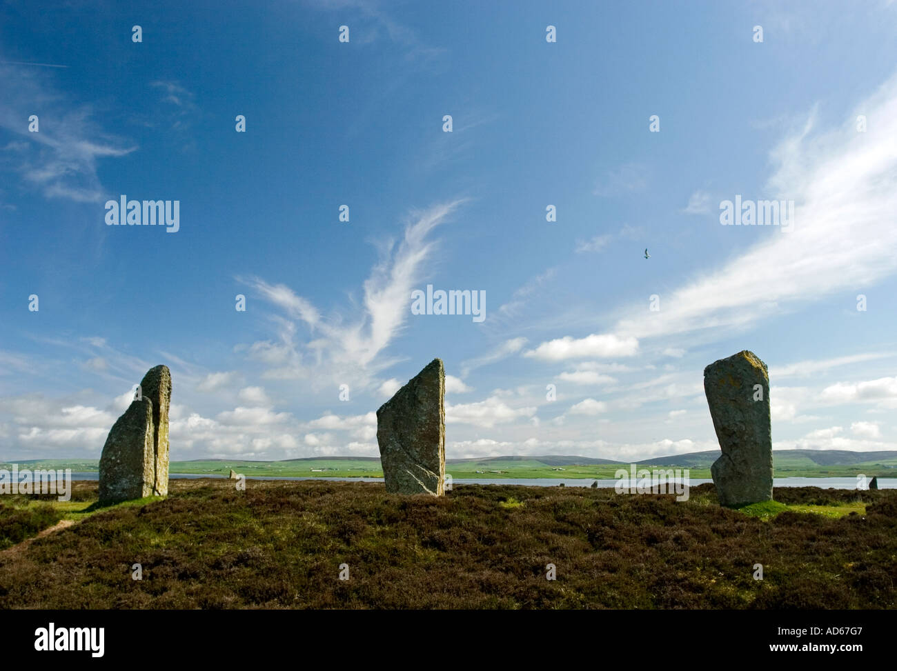 Ring of Brodgar standing stones. Orkney Island, Scotland Stock Photo