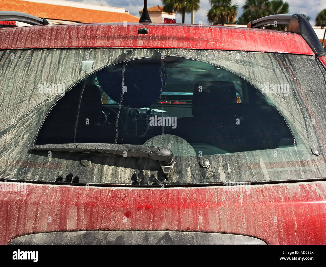 back window of dirty automobile Stock Photo Alamy