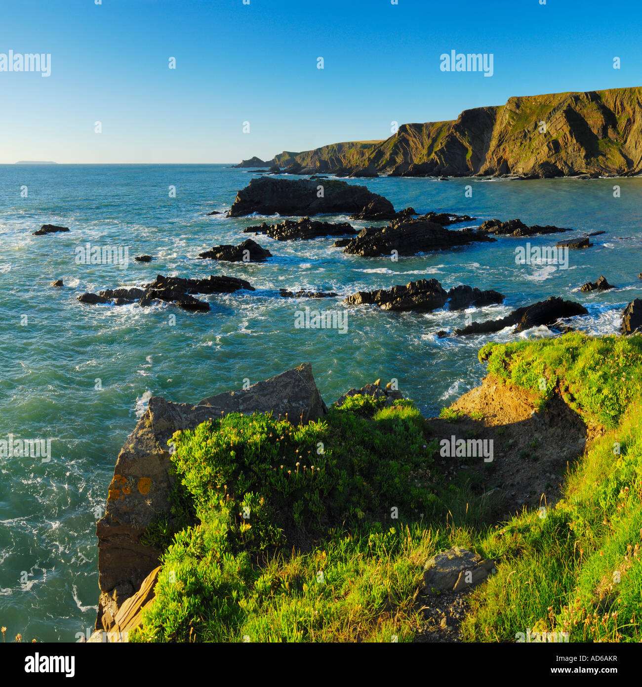 Hartland Quay on the Hartland peninsular Heritage Coast of North Stock