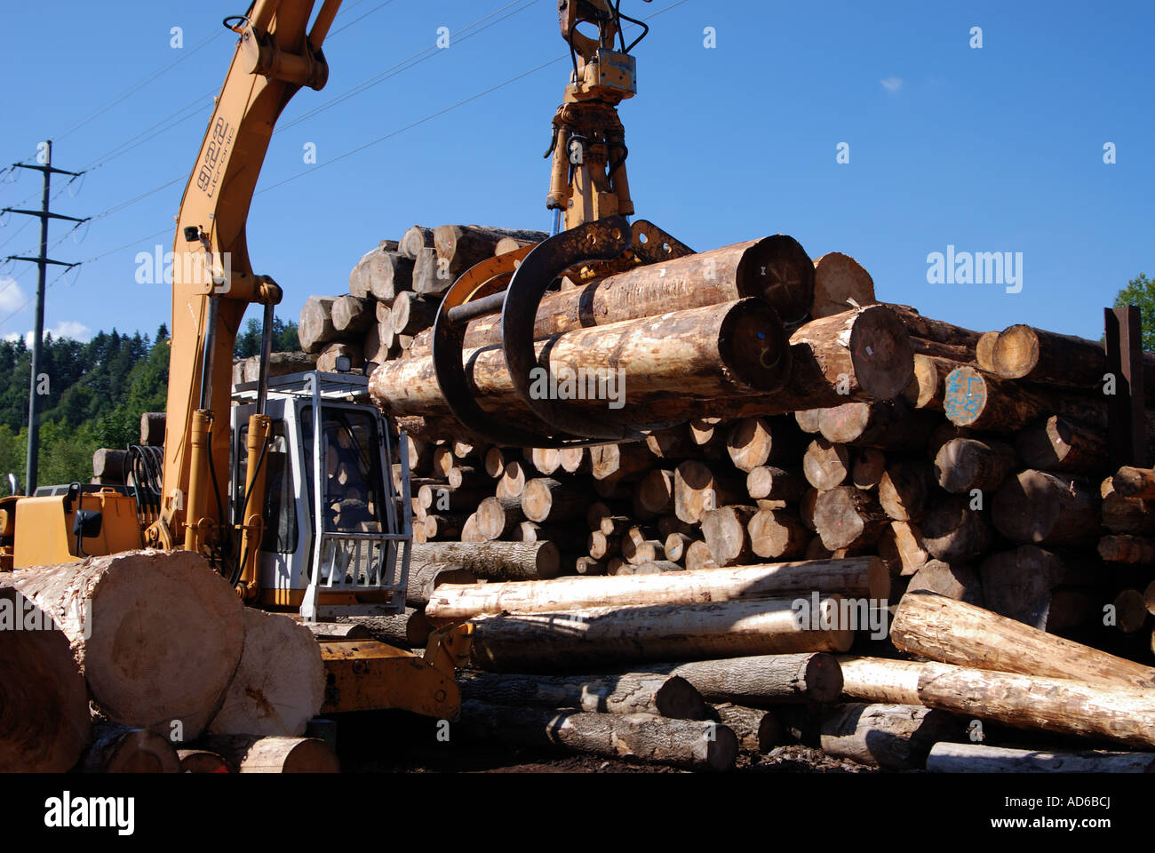 wood logging lumber industry Stock Photo Alamy