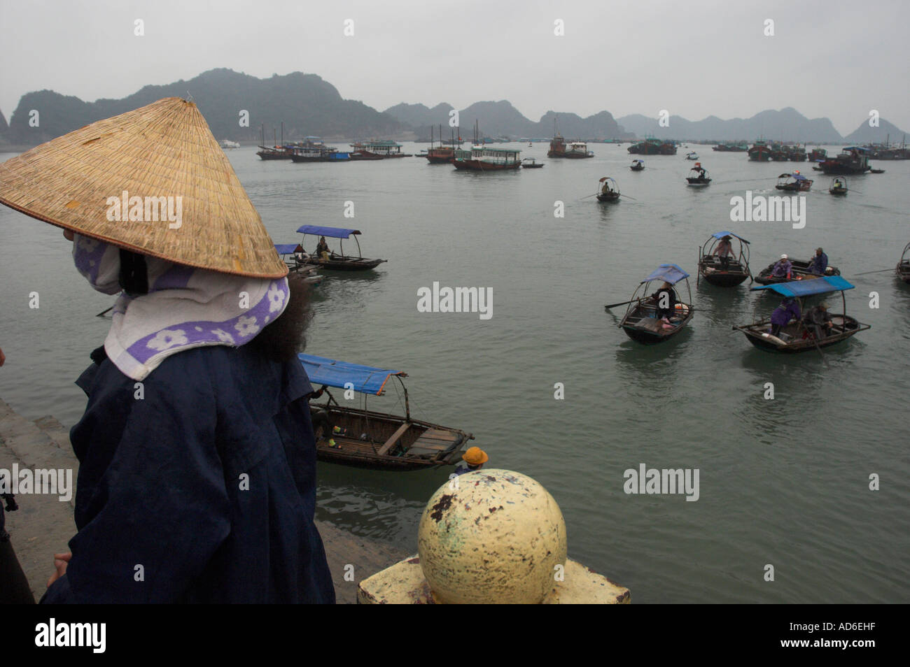 Northeast Vietnam Halong Bay Cat Ba island people from the surrounding floating fishing villages bring fresh fish to the morning Stock Photo