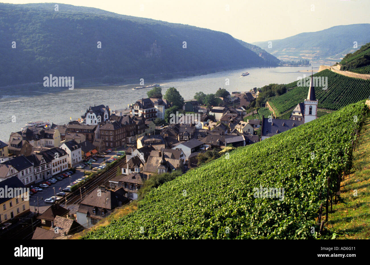 Germany wine Moselle Stock Photo