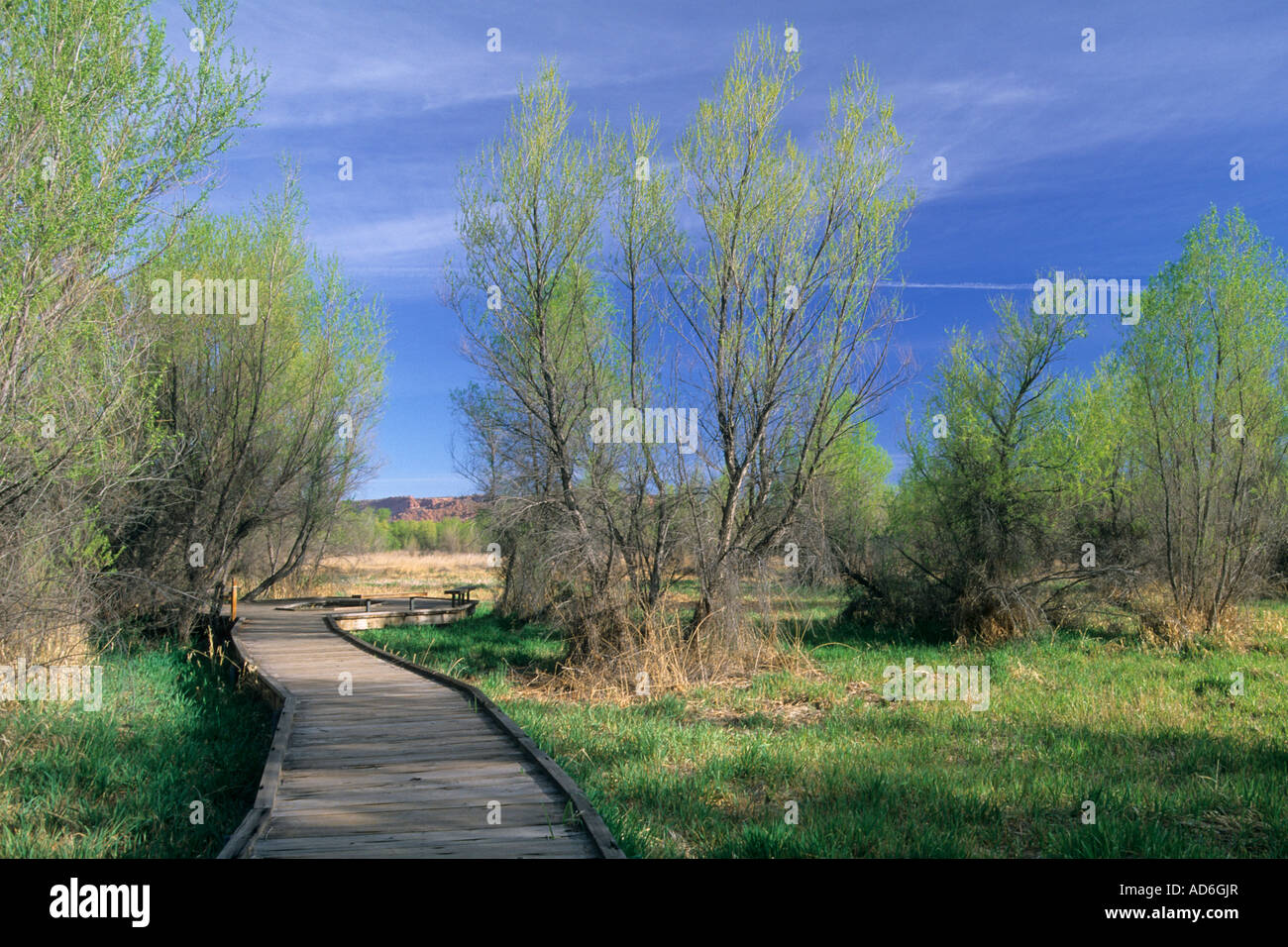 Utah wetlands hires stock photography and images Alamy