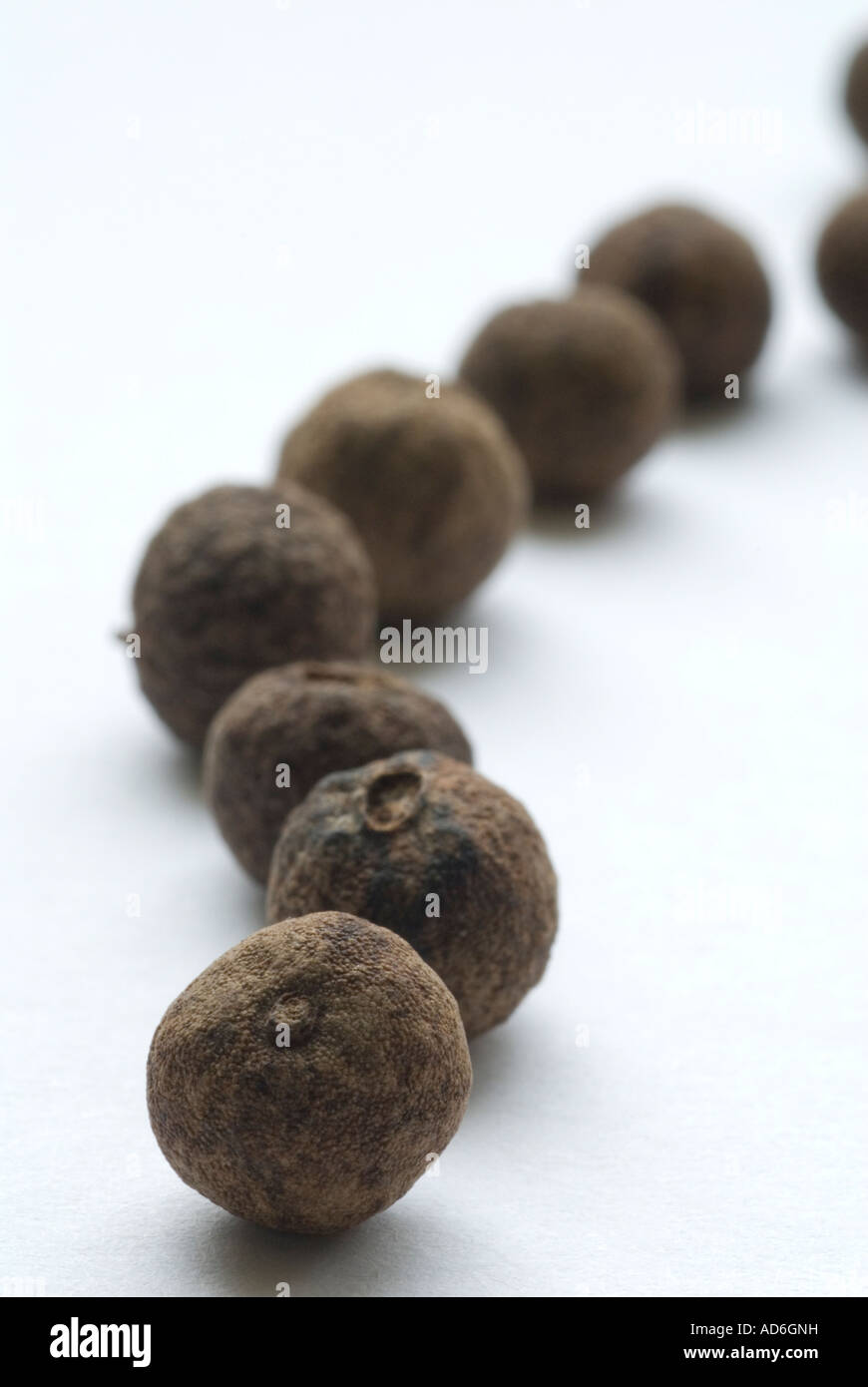 Allspice, Dried allspice fruits, Piment, Pimento Stock Photo Alamy