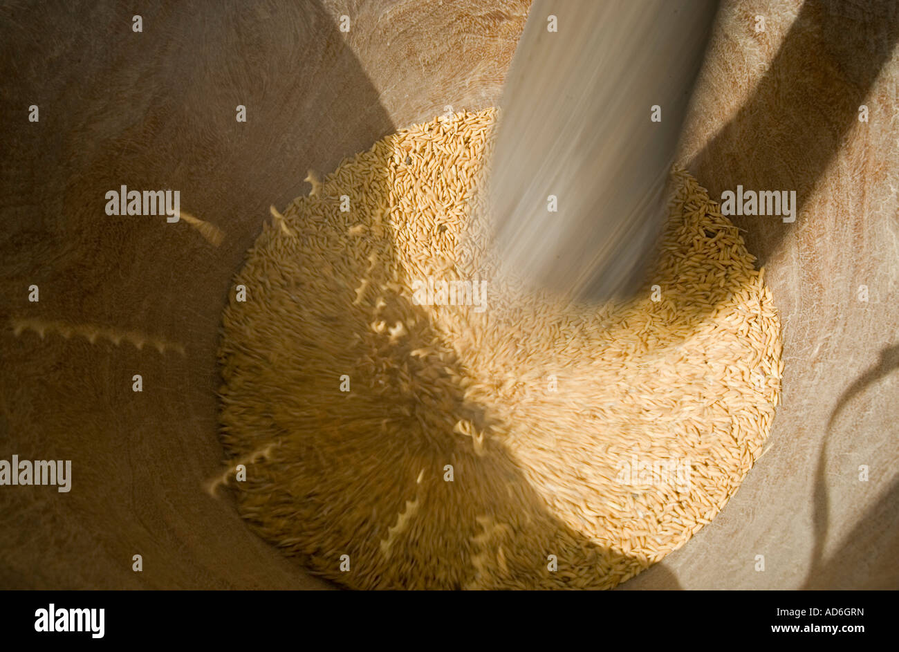 Traditional wooden beaters pounding rice in wooden basin Berending village south of The Gambia Stock Photo