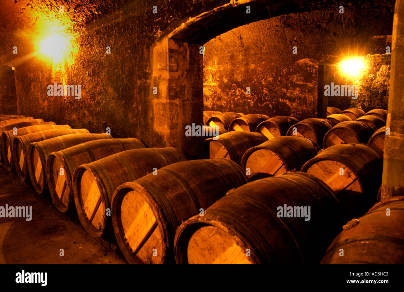 France wine Bordeaux Medoc Pontet France french wine cask cellar