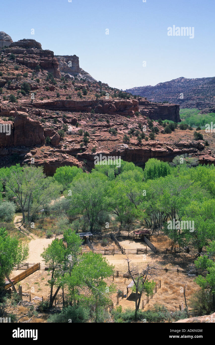Farm along the Escalante River Grand Staircase Escalante Nat l Mon