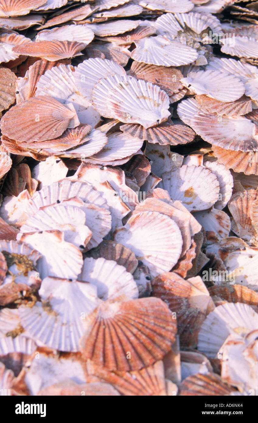 Dunmore east in ireland hi-res stock photography and images - Alamy