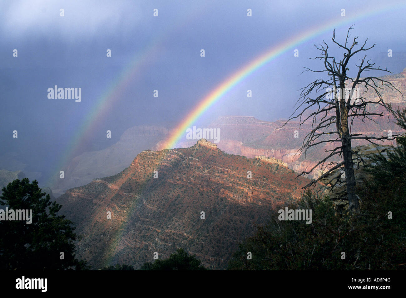 Blue skies over the grand canyon national park hi-res stock photography ...
