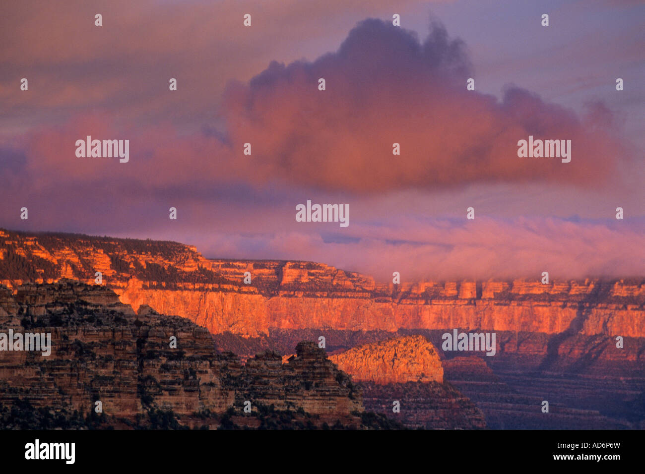 Morning light on the South Rim from Moran Point Grand Canyon National ...