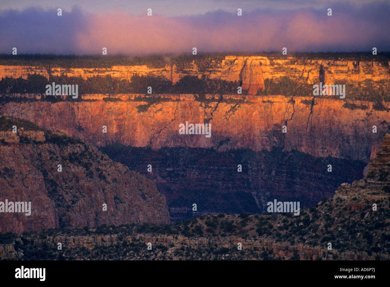 Morning light on the South Rim from Moran Point Grand Canyon National ...