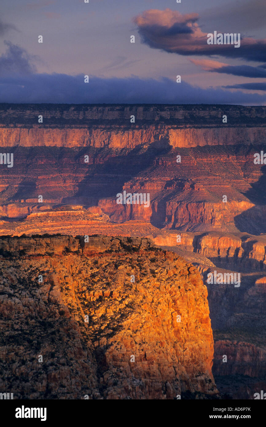 Morning light on the South Rim from Moran Point Grand Canyon National ...