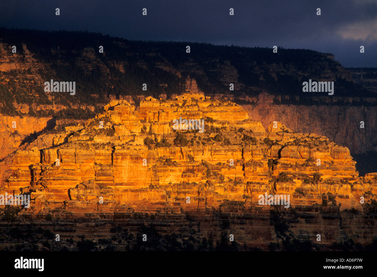 Morning light on the South Rim from Moran Point Grand Canyon National ...