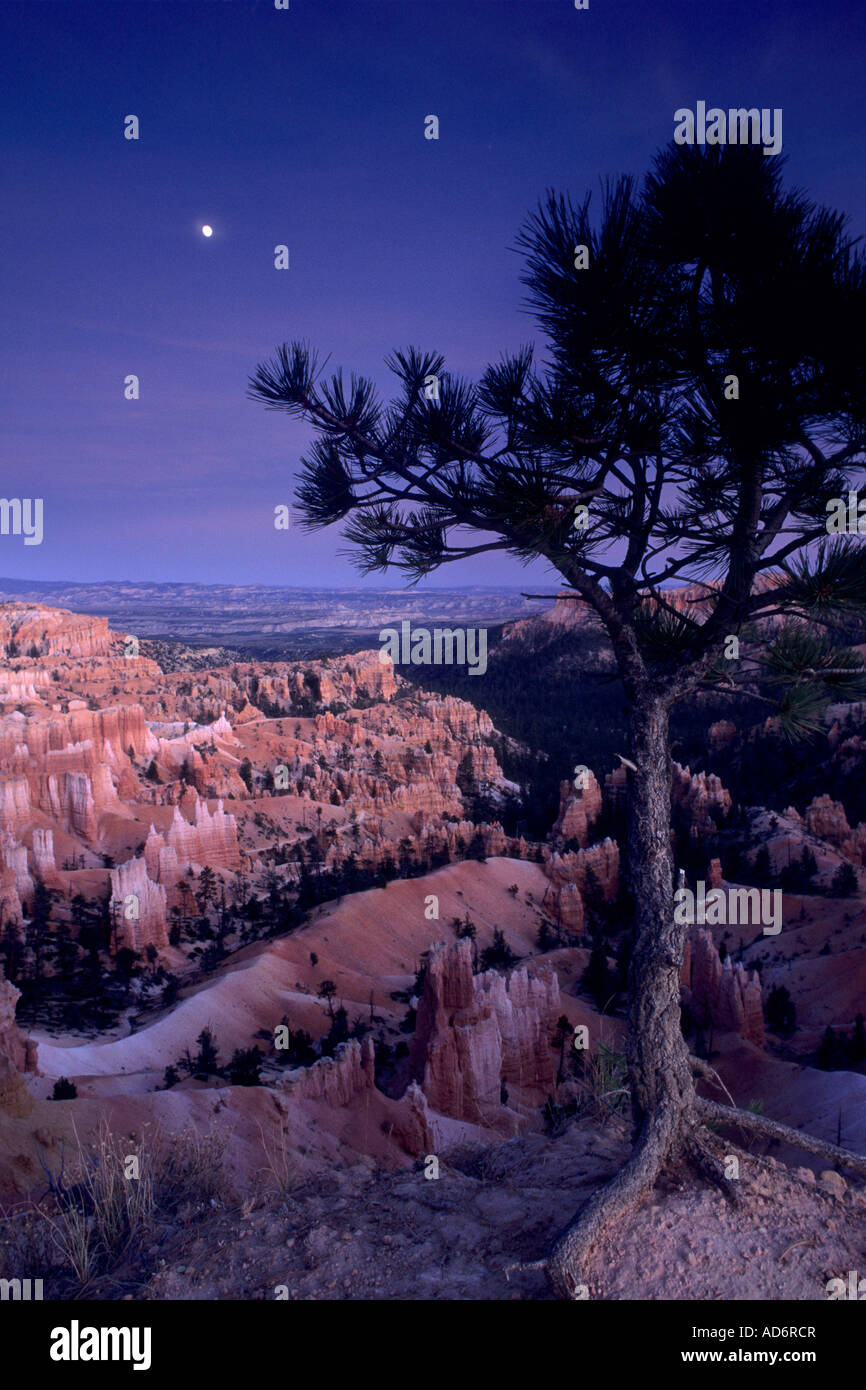 Evening moonrise over Bryce Canyon Bryce Canyon National Park UTAH Stock Photo