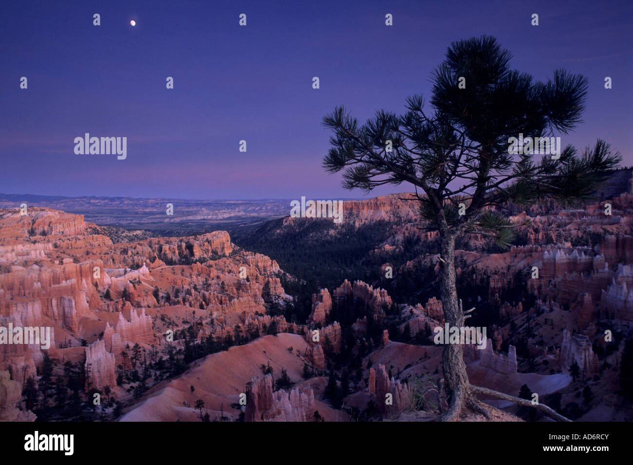 Evening moonrise over Bryce Canyon Bryce Canyon National Park UTAH Stock Photo