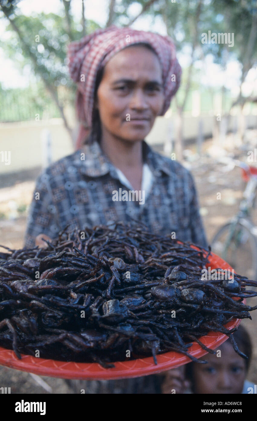 Cambodia Fried spiders on offer during the trip from Siem Riep to Phnom ...