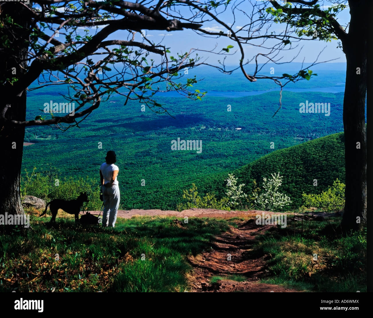 Ashokan Reservoir from Overlook Mountain Woodstock New York State USA