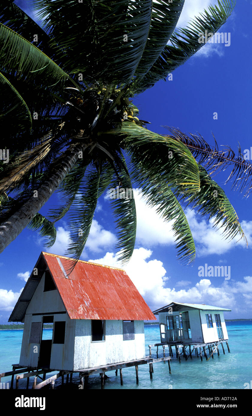 FRENCH POLYNESIA TUAMOTUS ARCHIPELAGO BLACK PEARL FARM Stock Photo Alamy