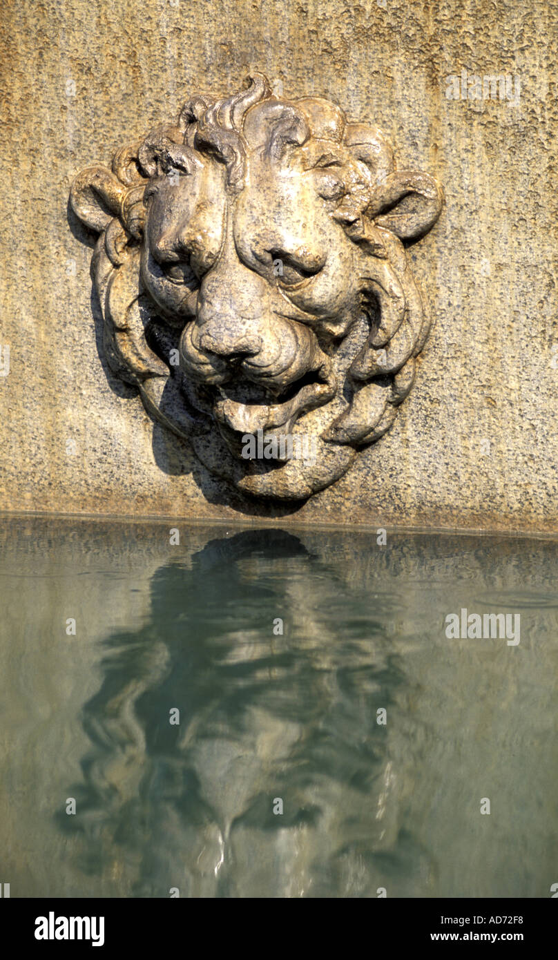 ITALY ROME FOUNTAIN HEAD OF LION REFLECTING Stock Photo - Alamy