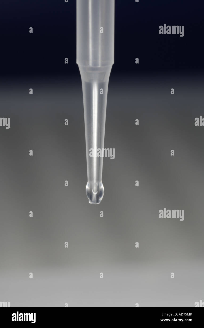 Pipet tip and droplet Stock Photo Alamy