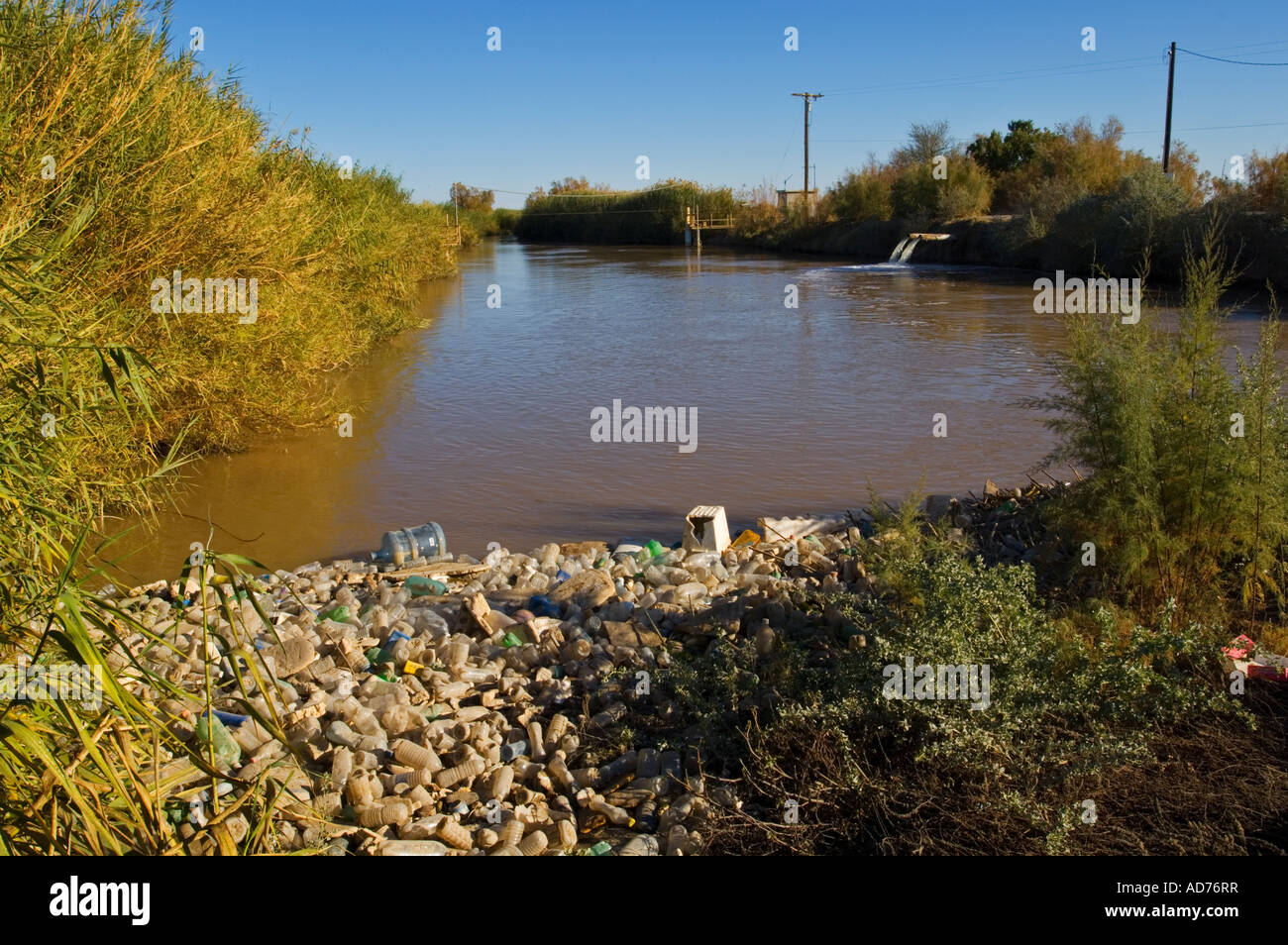 Pile of Plastic bottle pollution floating in the Alamo River flowing
