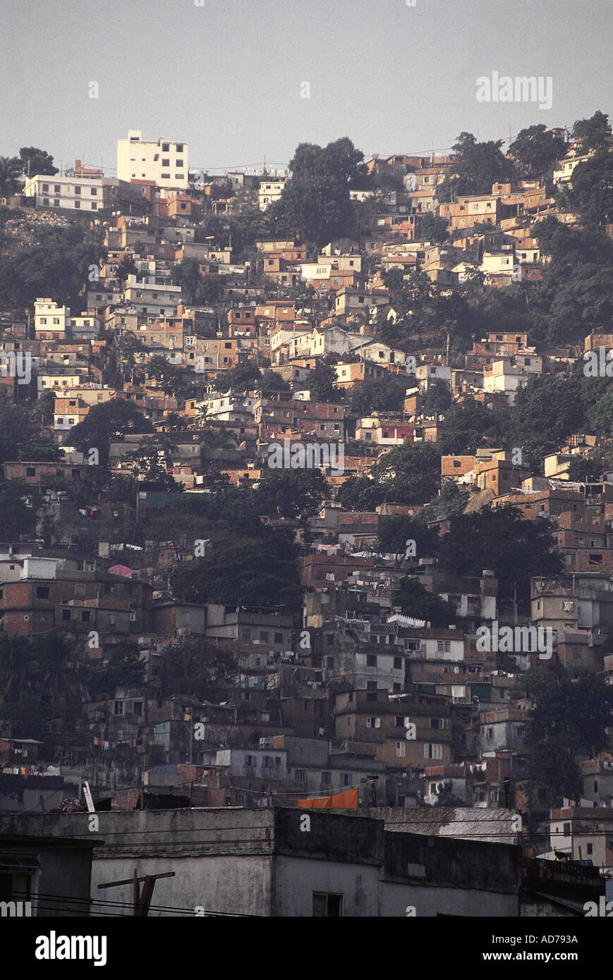 Brazil Rio De Janeiro Favella Local Name For Slums Built On City Hills Stock Photo Alamy