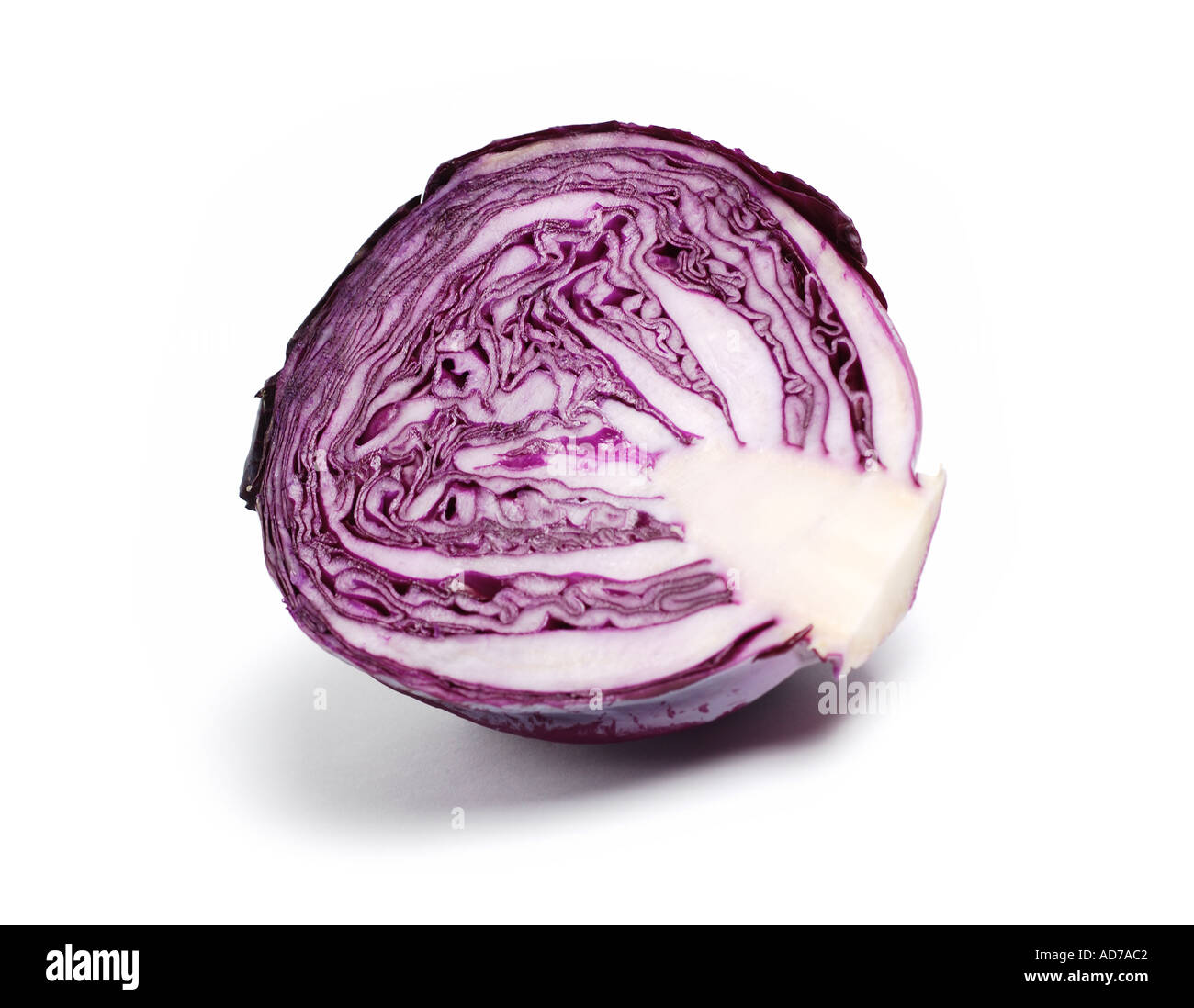 Cabbage Stock Photo