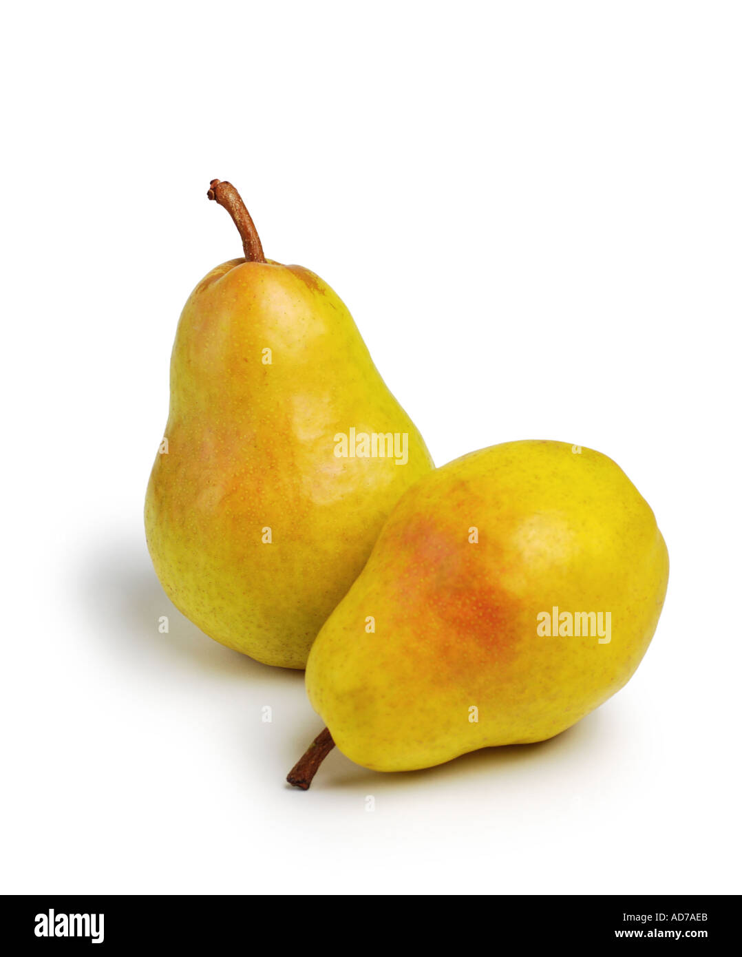 Pears Stock Photo