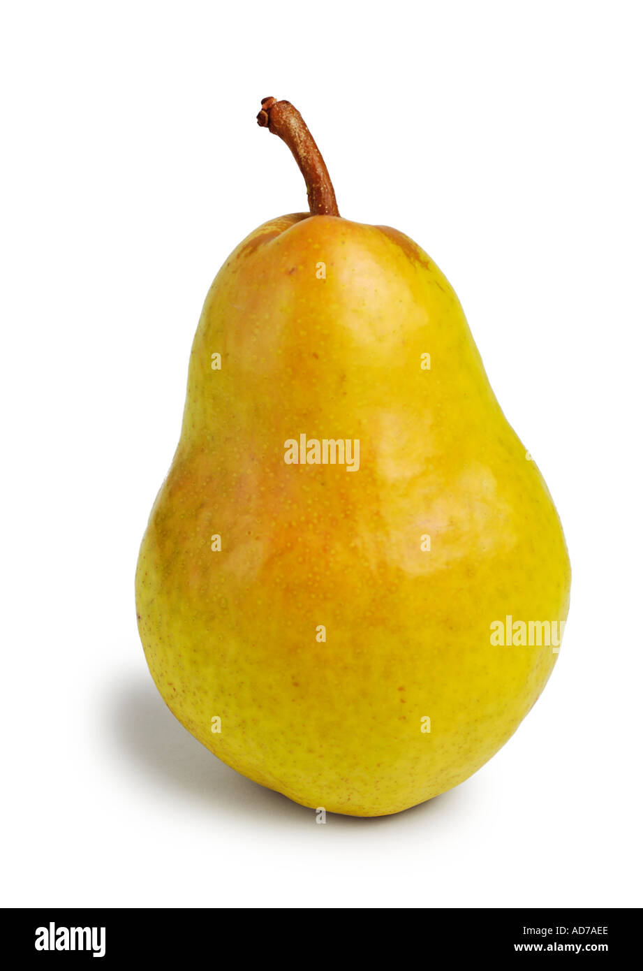 Yellow Bartlett Pear Stock Photo