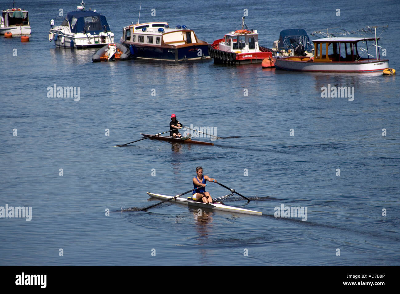 Putney Riverside Rowing Rowing on the thames, putney hi-res stock photography and images - Alamy