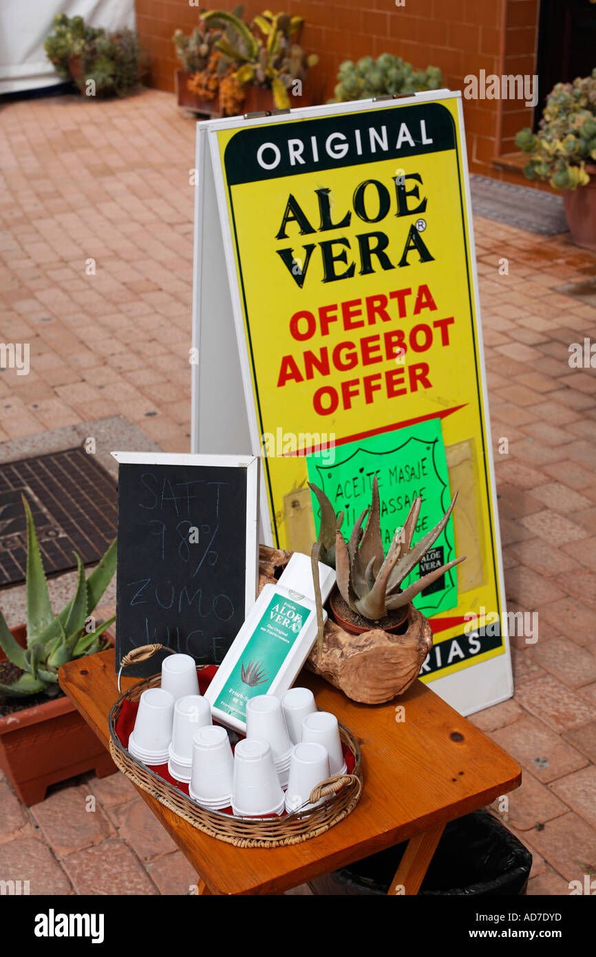 Aloe Vera Morro Jable Jandia Fuerteventura Canary Islands Stock Photo -  Alamy