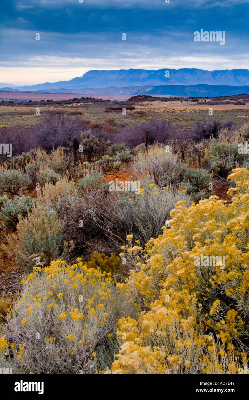 Overlooking high desert plateau of the Lower Kolob Terrace near Zion National Park Utah Stock Photo