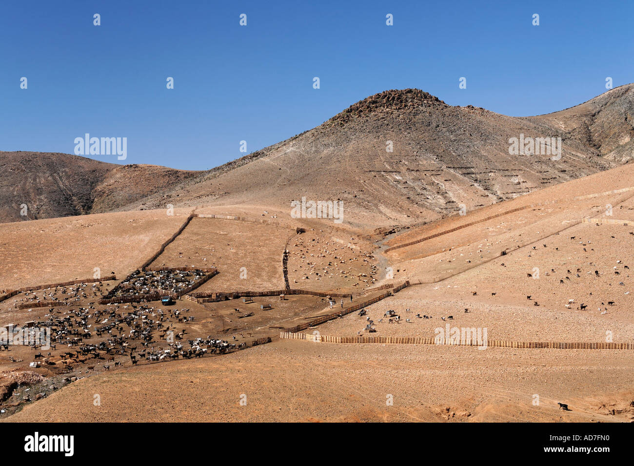 goats corral near Llanos de la Concepcion Fuerteventura Canary Islands Stock Photo