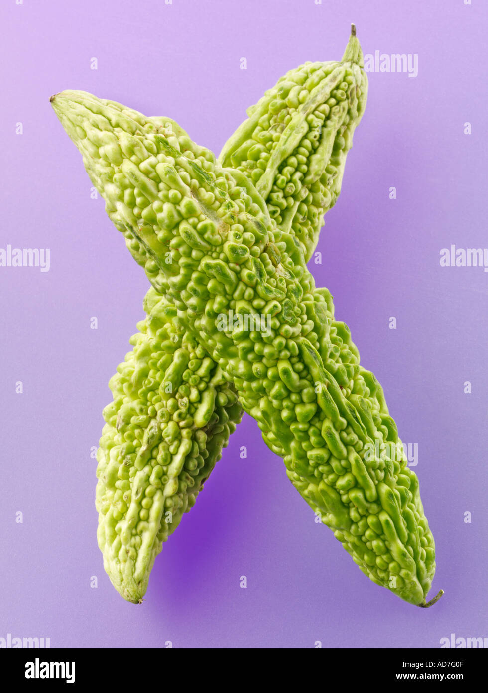 KERALA GOURD KARELA SQUASH BITTER MELON Stock Photo Alamy