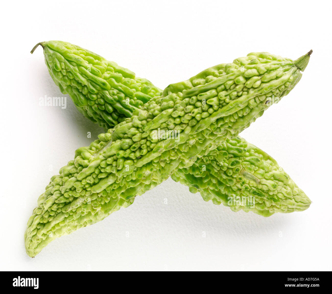 KERALA KARELA BITTER MELON Stock Photo Alamy