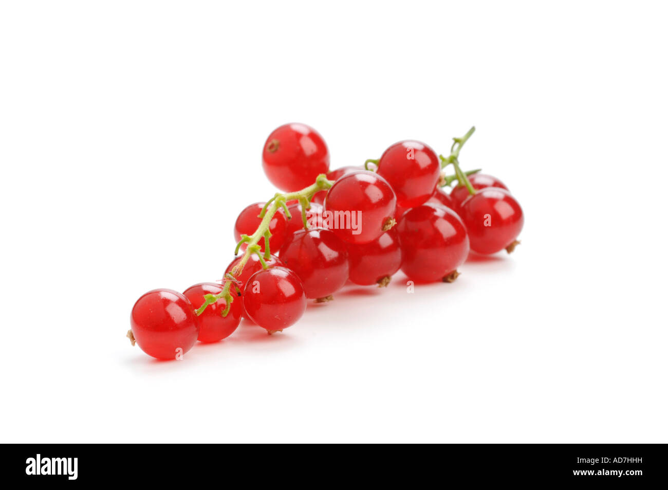 Fresh Redcurrants Stock Photo