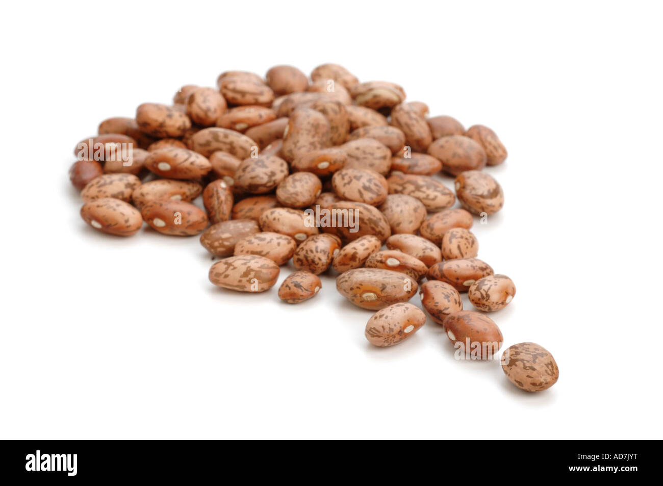Dried Pinto Beans Stock Photo Alamy