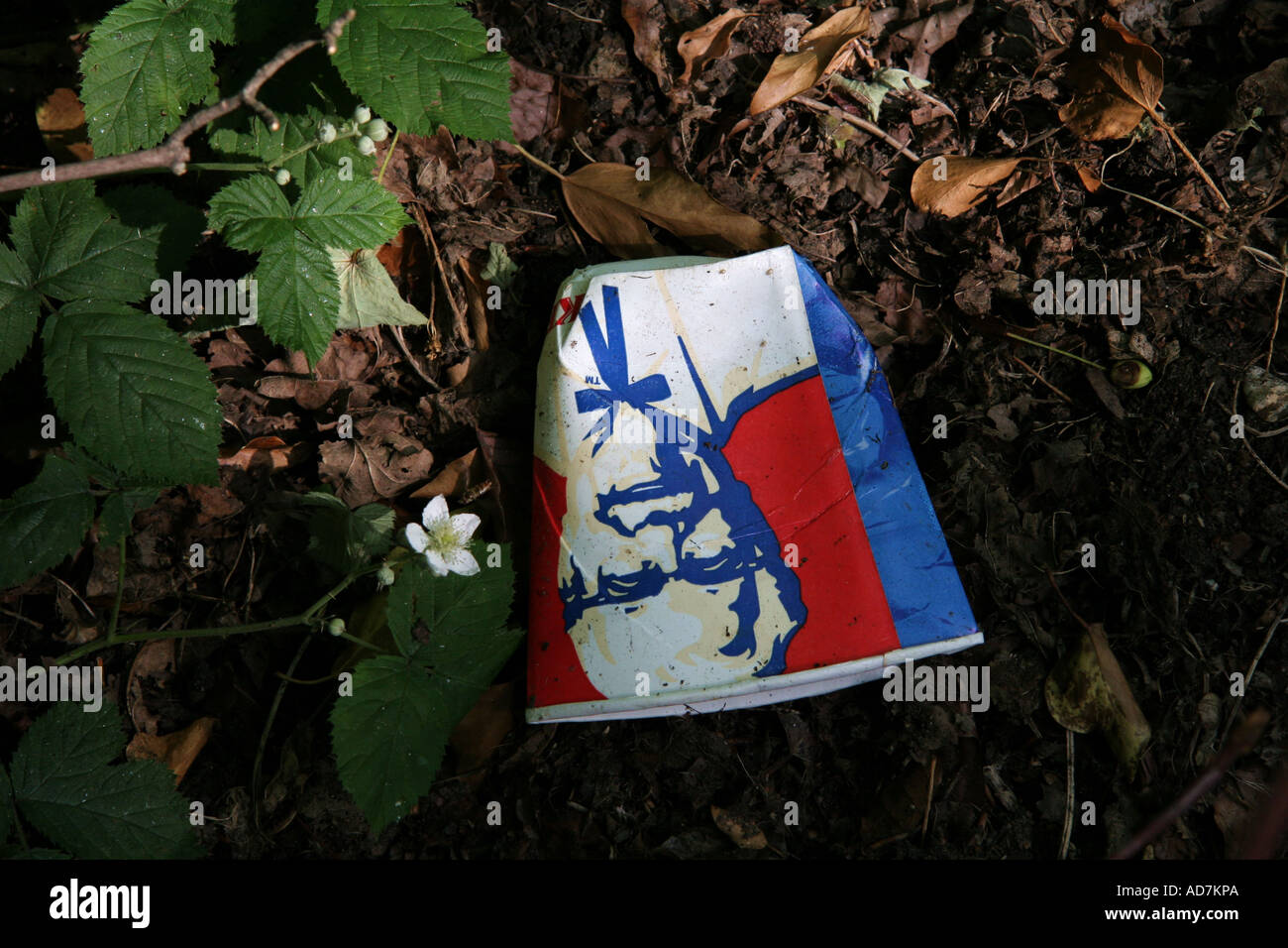 litter cup Stock Photo