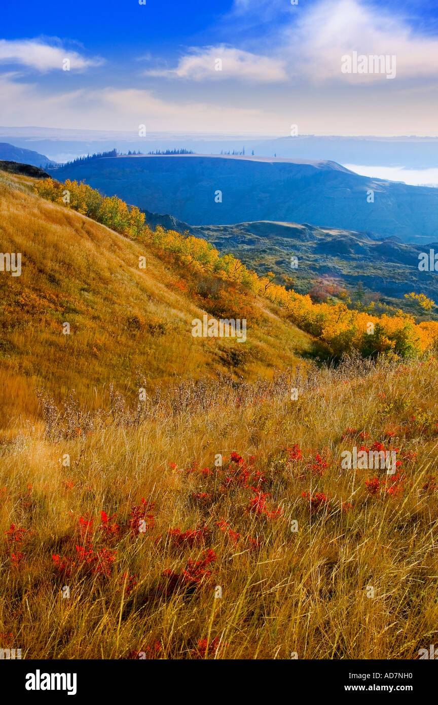 Dry Island Buffalo Jump Provincial Park Stock Photo