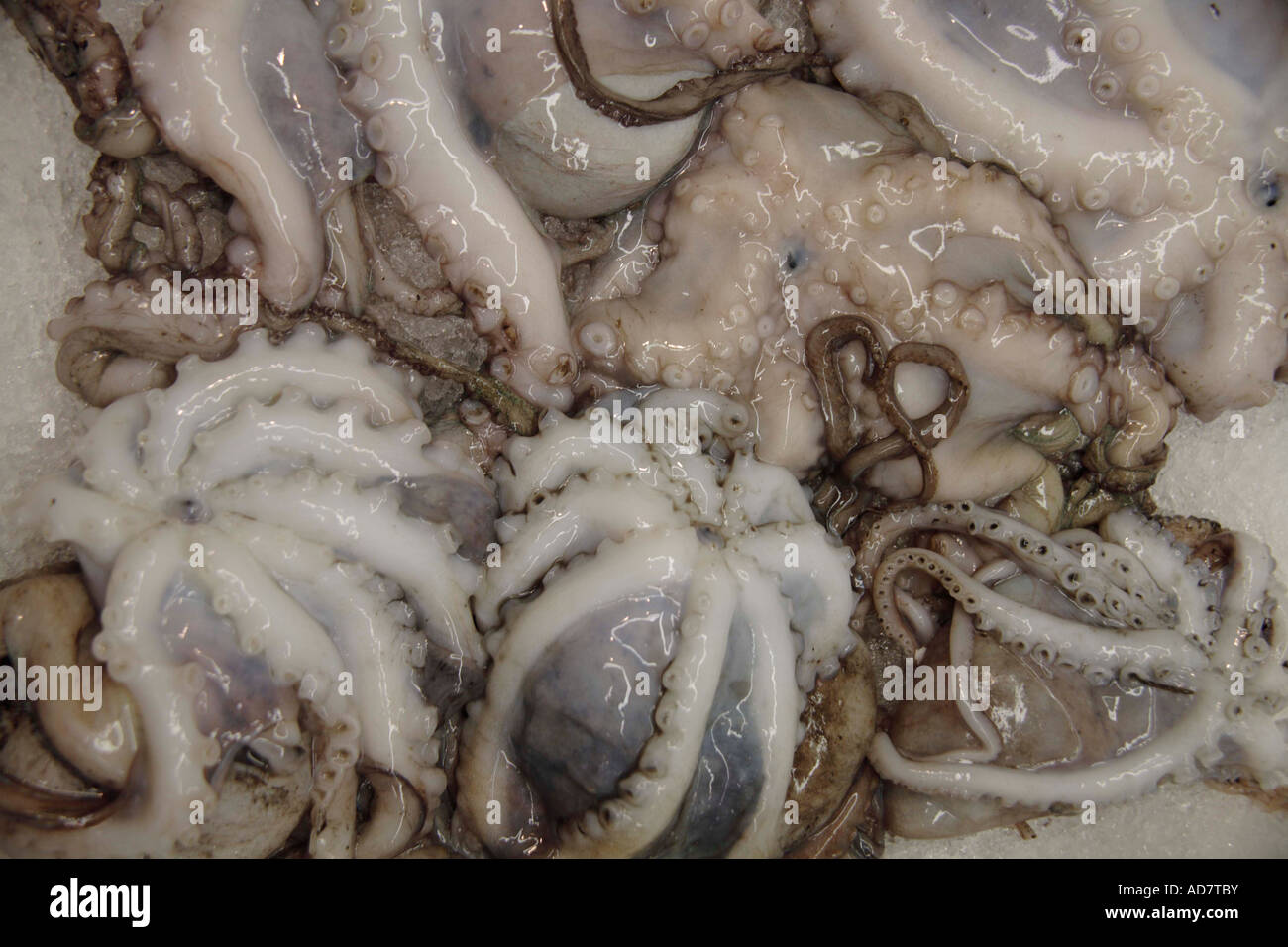 Full offered food hi-res stock photography and images - Alamy