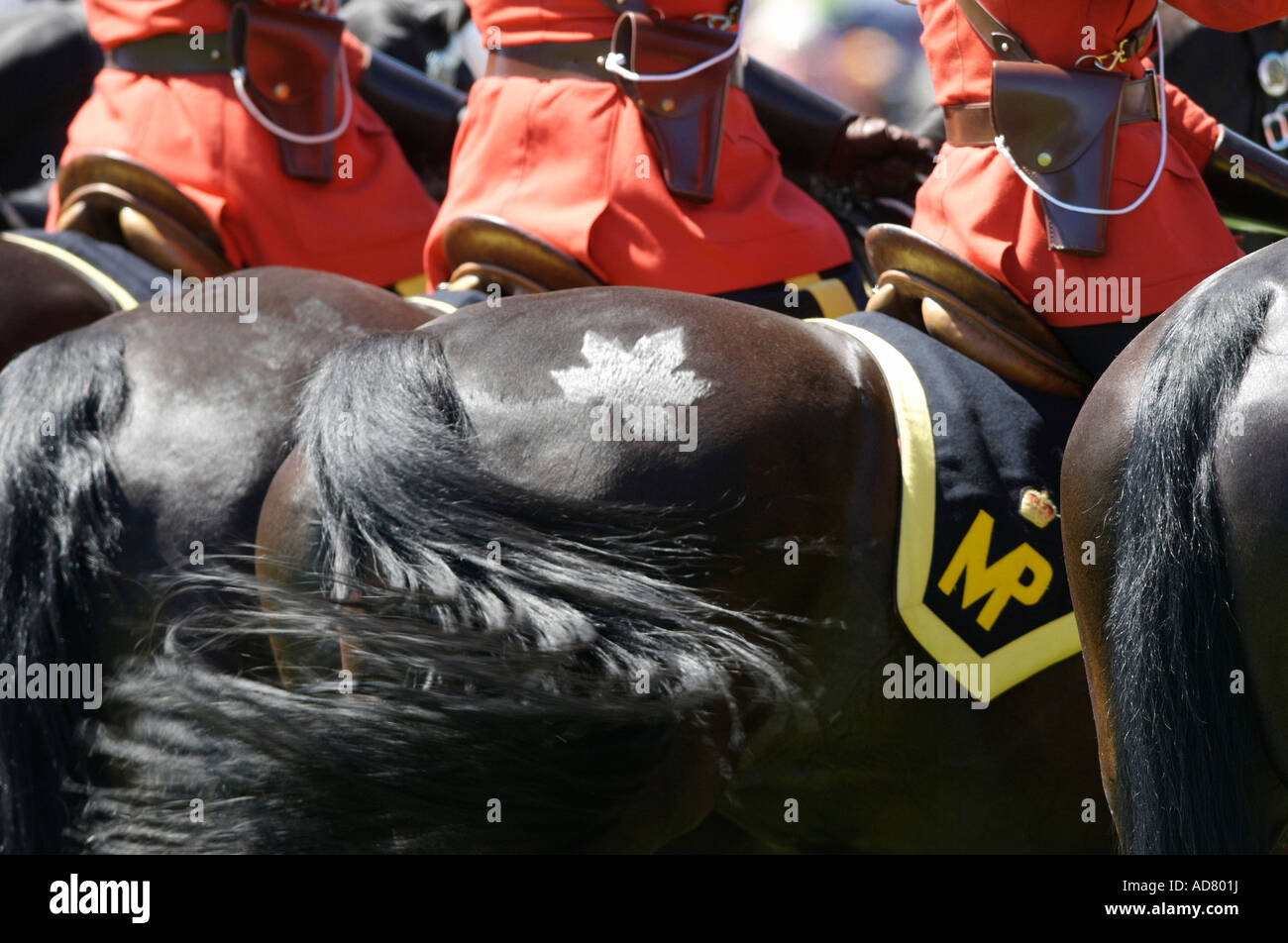 Royal Canadian Mounted police RCMP Musical Ride Stock Photo - Alamy