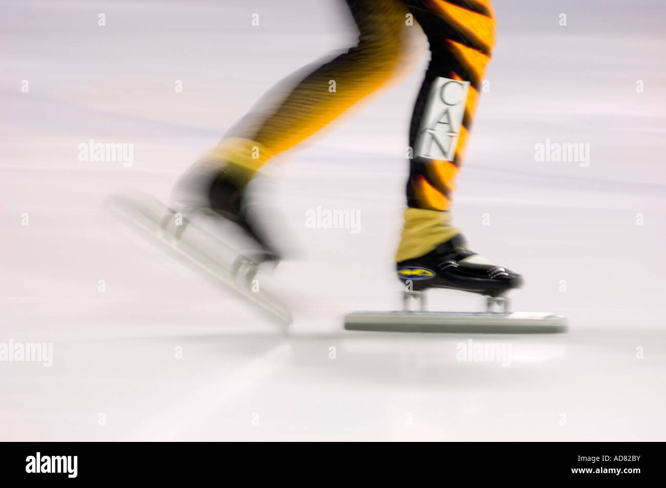 Canadian Short track speed skating competition Detail of skaters Greater Sudbury Ontario Stock