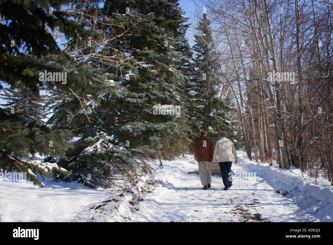 Elderly couple walking hand in hand hi-res stock photography and images ...