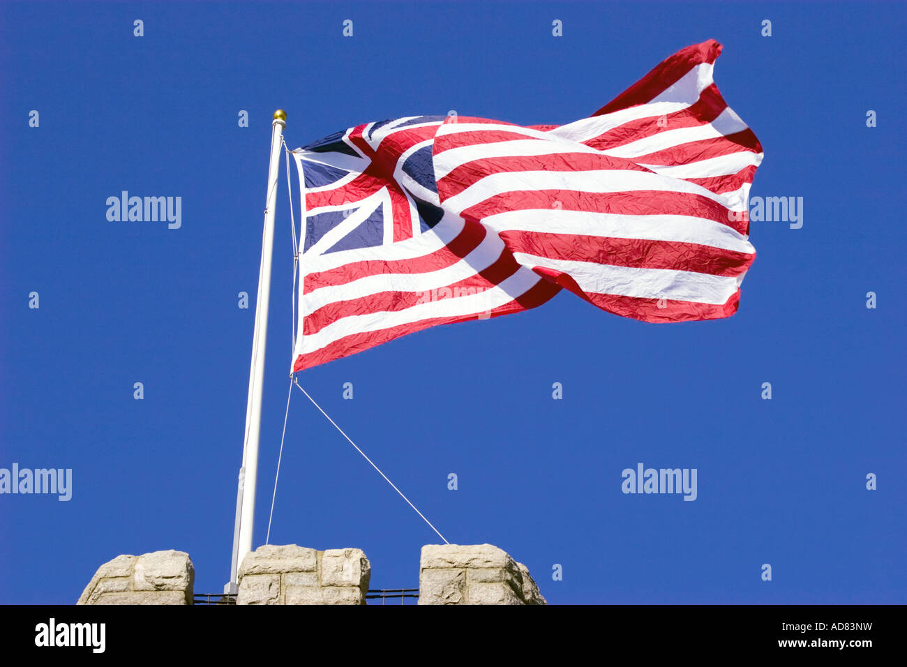 The First American Flag