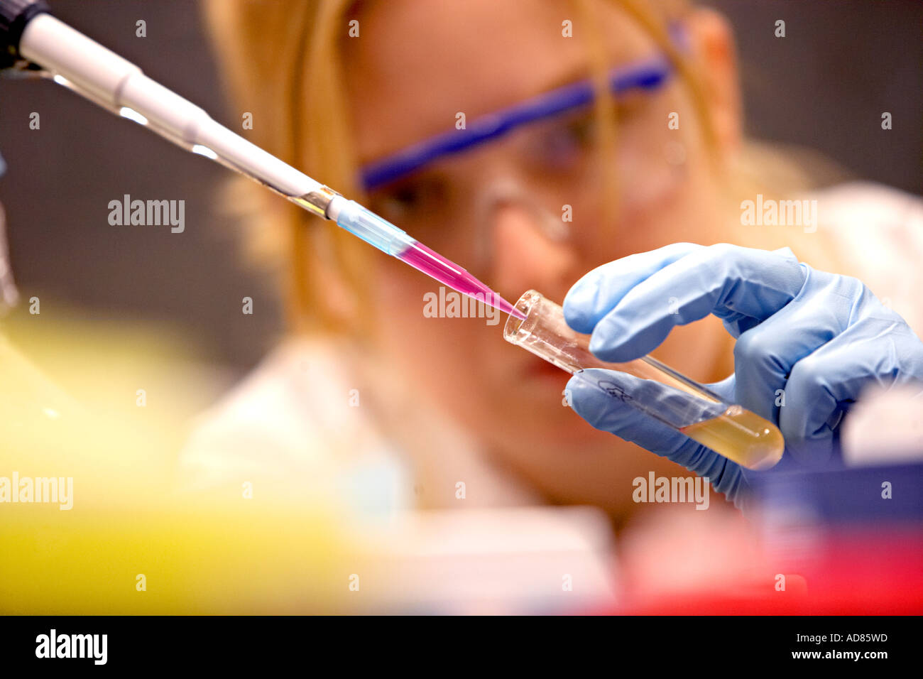 Female scientist using a pipette in a research experiment pipette