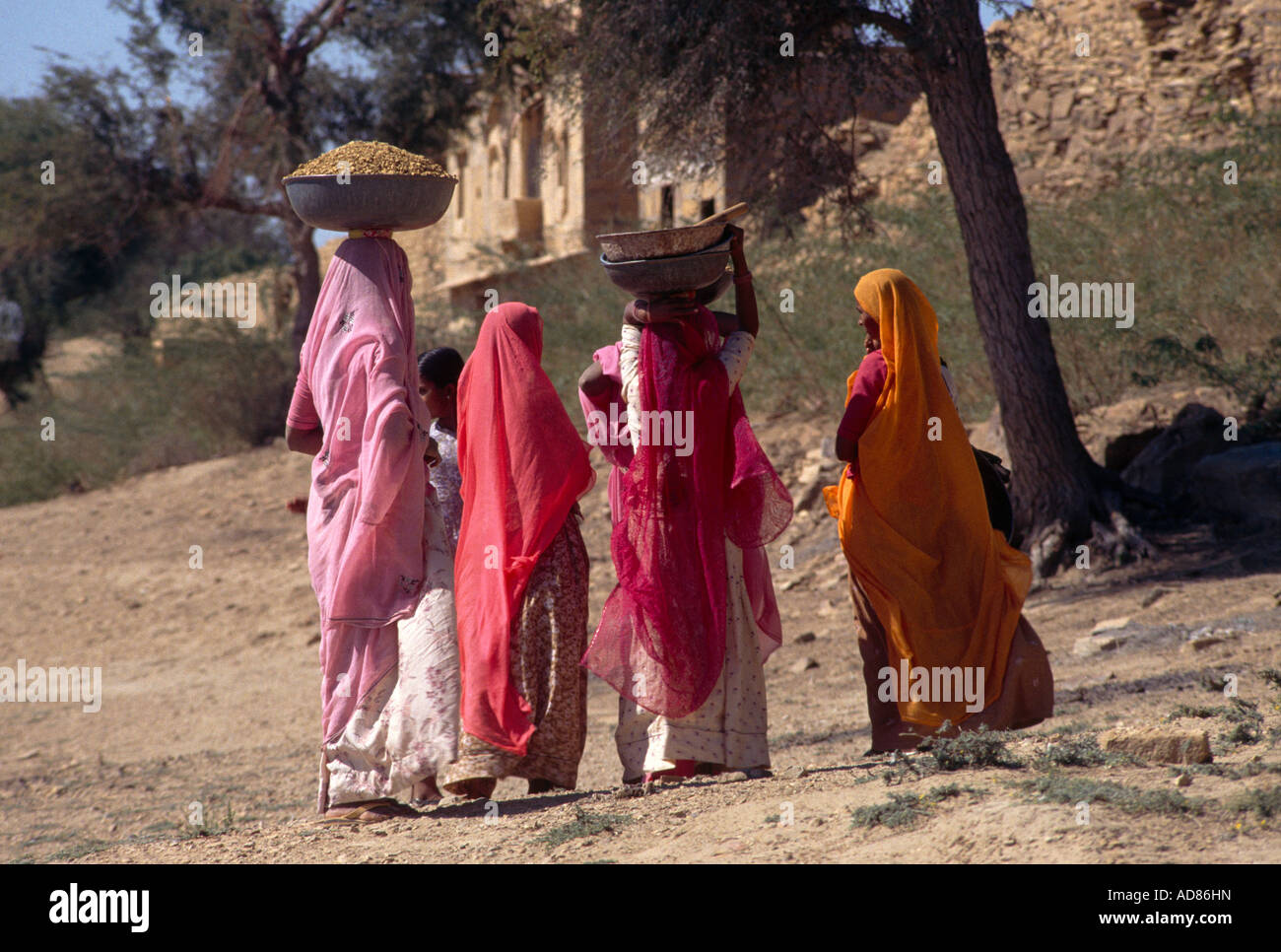 Jaisalmer India Women Carrying Rubble On Their Heads Stock Photo