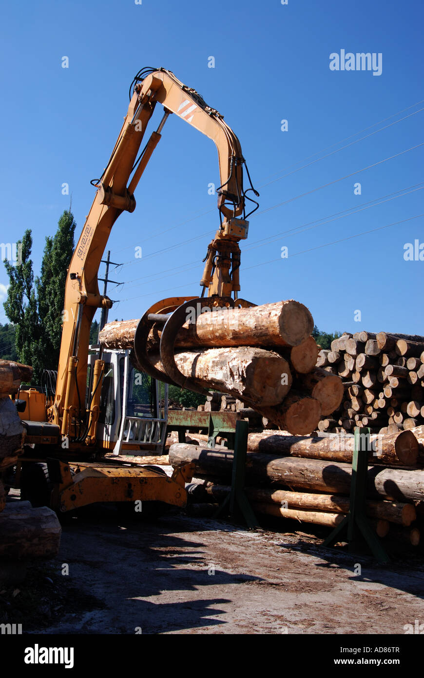 Logging Stock Image Logging industry hi-res stock photography and images - Alamy